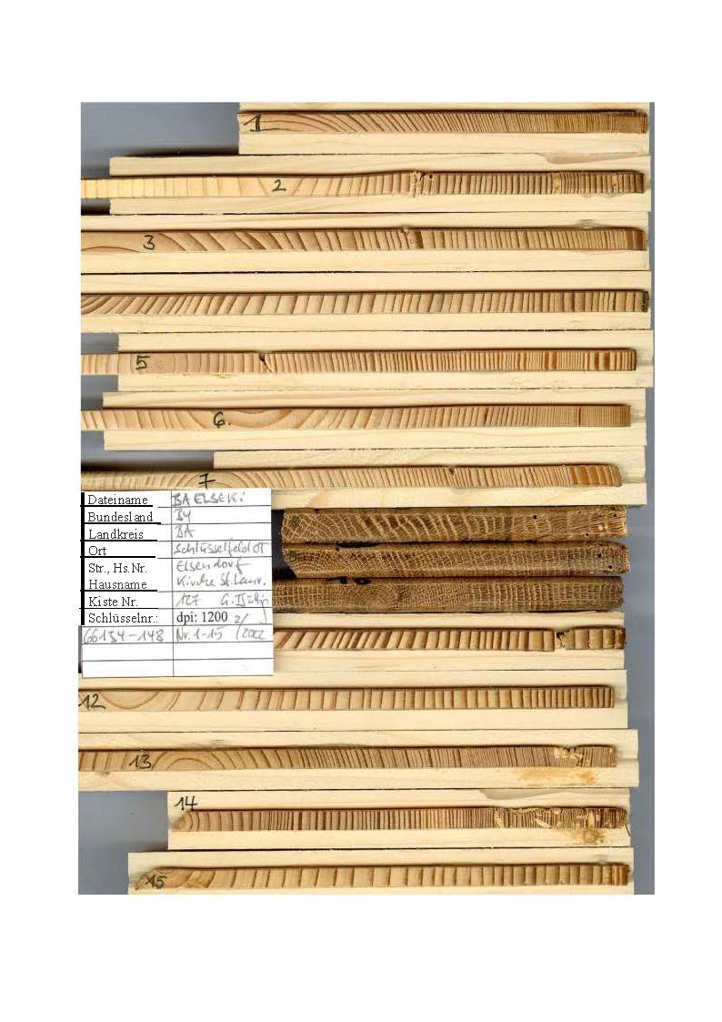 Die von der Universität Bamberg entnommenen Bohrkerne. Holzproben